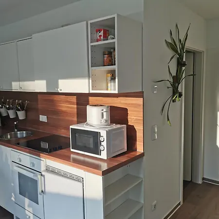 Daire Ostseeparadies Waldblick *