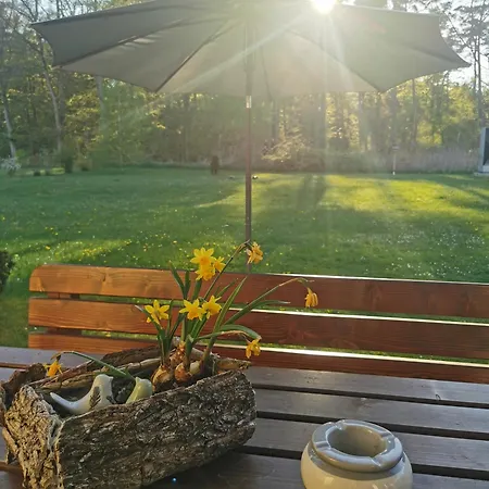 Ostseeparadies Waldblick