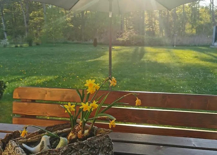 Ostseeparadies Waldblick